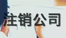 法人可以申請(qǐng)注銷公司嗎？